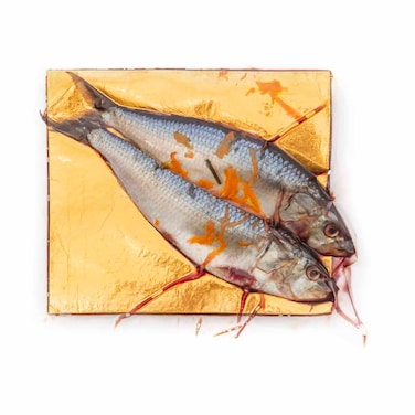 Vacuum Salted Sardines Fish