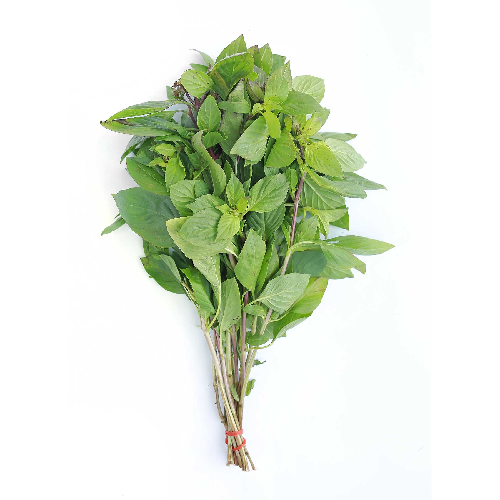 Buy Fresh Habak Local Online | Carrefour KSA