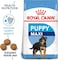 Royal Canin SHN Maxi Puppy 15 kg Size Health Nutrition Dog Food, Multicolor,  Maxi Puppy Dog food