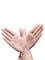 Generic-M 100Pcs Non-medical Disposable Glove PVC Gloves for Kitchen Cooking Cleaning Multi-Purpose Gloves