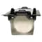 Soignon Goat Cheese Honey 125g