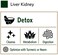 Organic India Liver Kidney Detoxify and Rejuvenate Supplement, 90 Capsules