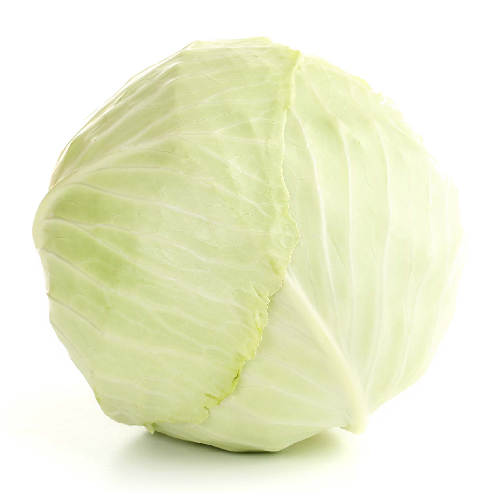 Mafa White Cabbage