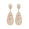 Aiwanto Beautiful Women's Party Wear Earrings Gift