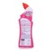 Harpic Active Fresh Pink Blossom Flor Tropical Washroom Cleaner 750 ml