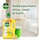 Dettol Antibacterial Floor Cleaner Lemon Scent, 1.8L x 2