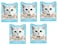 Kit Cat Freezebites Cod Fish 5X15g