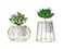 Aiwanto Flower vase Artificial Flowers With Vase  Decoration Home Decor Piece Tabletop Decoration(2Pcs)