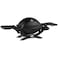 Weber Gas Grill Q-1200 Black