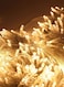 Generic Waterproof String Lights With 8 Flashing Modes Warm White 30Meter
