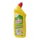 ELESEPT TOILET CLEANER. CITRUS750ML