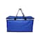 Safari Cooler Basket Blue 47x27x23cm