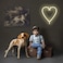 Neon Warm White Heart-Shaped LED Light 38x29.5cm