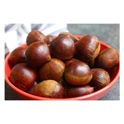 Chestnut
