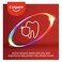 Colgate Total 12 Pro Gum Health Toothpaste Multicolour 75ml Pack of 2