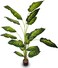 YATAI Artificial Plant 1.7 Meter High