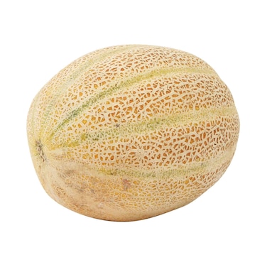Rock Melon