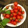 Red Cherry Tomato Seeds   Ref. SB 6236 Brand FITO   Origin Spain + Agricultural Perlite Box (5 LTR.) by GARDENZ