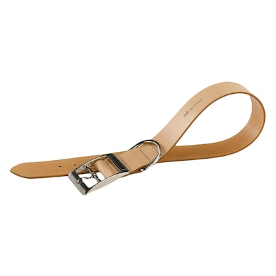 Ferplast C30/55 Dog Collar