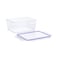 Lock2Go 600 ml Food Storage Containers with Lids