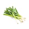 Kenya Spring Onion