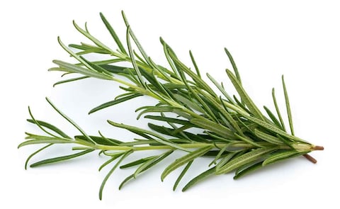 Rosemary - 100gm