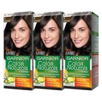 Buy Garnier Naturals Hair Colour Creme 2 Luminous Black Pack of 3 in Kuwait