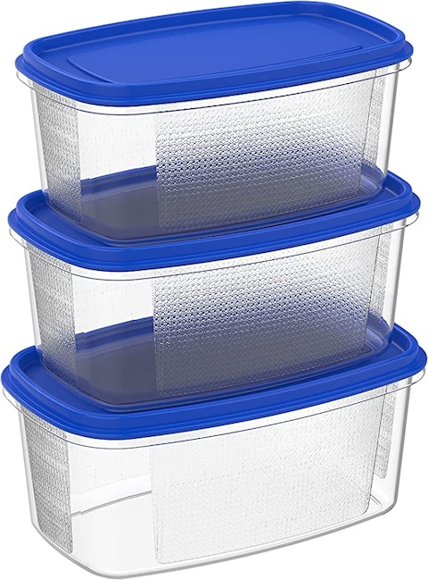 Cosmoplast Food Storage Pack Of 750 Ml, 1.5, 2.5, 4L Oval Containers, Blue