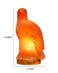 Geohoney Himalayan Salt Lamp - Eagle