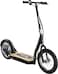 Razor E-Scooter Ecosmart Hd Sup 25Km/H