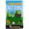 Ametoys-Funny Card Game Streaking Kittens 15 Cards Expansion P-ack Family Party Board Game