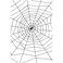 Spider &amp; Spiders Web Black