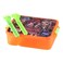 Max Plast Lunch Box With Spoon And Fork Orange/Green
