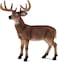 Animal Planet Mojo Deer Stag Painted Replica Wild Animal Collectable Toy Figures 387038