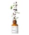 The Ordinary Caffeine Solution 5% + EGCG