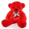 Soft Toy Teddy Bear Red / White