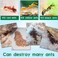 Lavish [ 2 Piece ] Strong Clear Ant Bait Powder Drug Medicine Effects Destroy Kill Nest Ant Bait