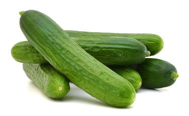 Cucumber