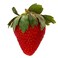 Local Strawberry 500G