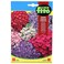 Fito Cineraria Dwarf Hybrid Mix (50 mg)