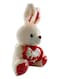 Child Toy Non-Toxic Stuffed And Plush Soft Bunny Rabbit