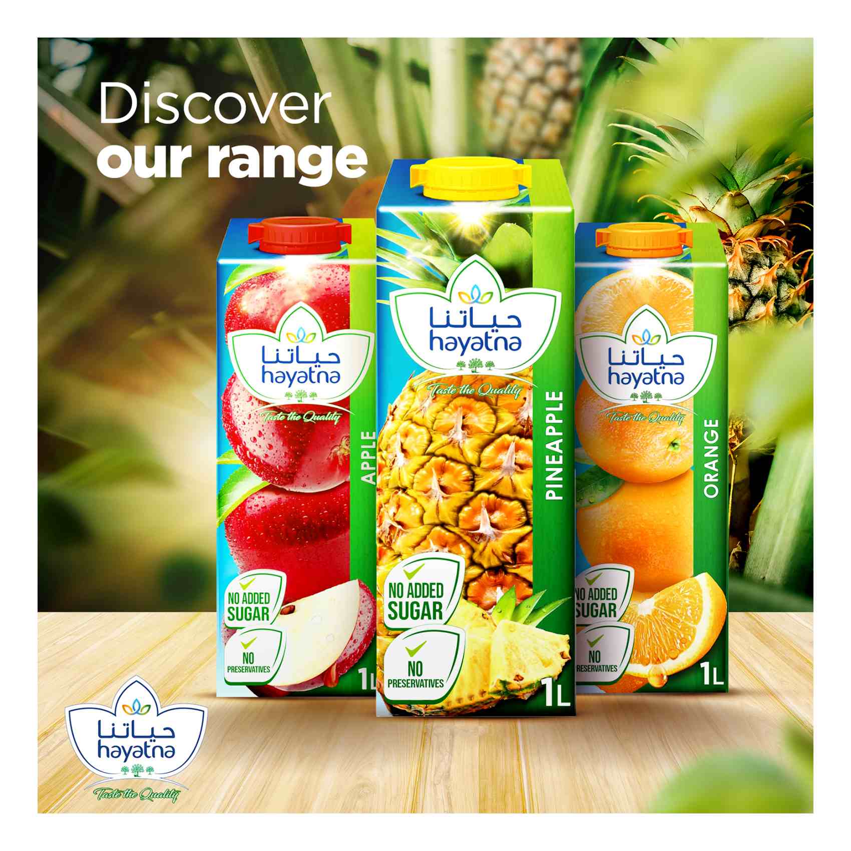 Hayatna Pure Pineapple Juice Free from preservatives No added sugar 1L