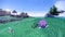 Pokemon Violet (UAE Version) By Nintendo