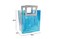 Transparent Clear Nylon Gift Bag High Quality PVC Handled Gift and Shopping Bag (Blue, 16x18x9 cm) - Pack of 12