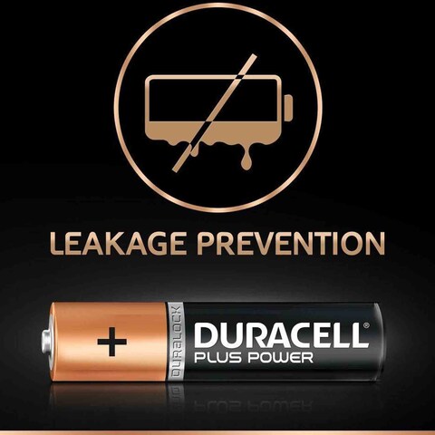 Duracell Plus Power Type AAA Alkaline Battery - 2 Batteries