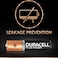 Duracell Plus Power Type AAA Alkaline Battery - 2 Batteries