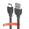 CABLE TYPE-C ROGER DANY