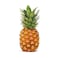 Pineapple Import Pcs