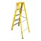 Carrefour Ladder