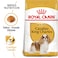 Breed Health Nutrition Cavalier King Charles Adult 1.5 KG
